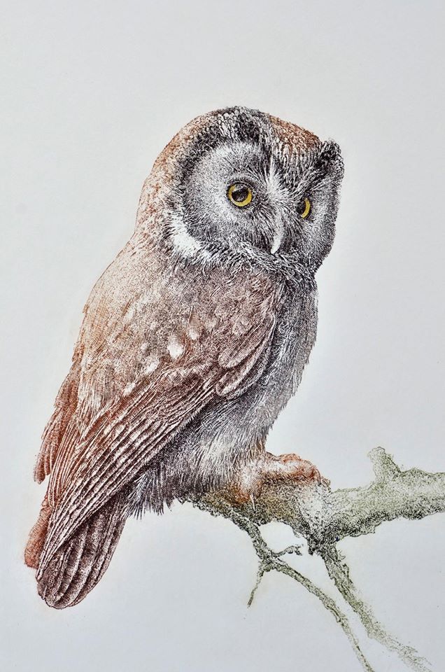 Sowia eskadra