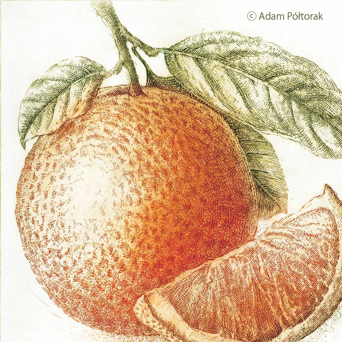 Orange / Pomarańcza