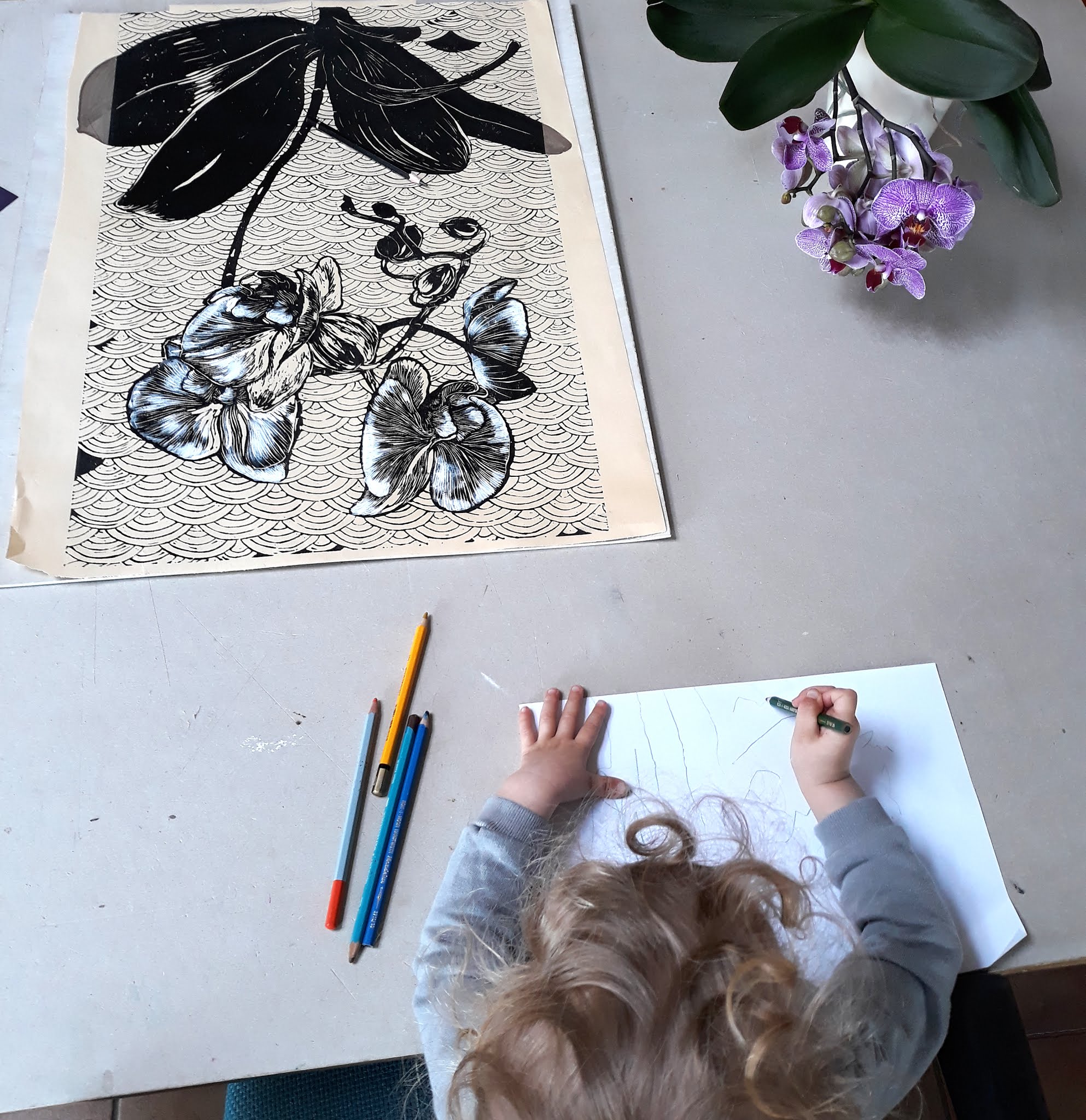 New orchid linocut / Linoryt orchidea