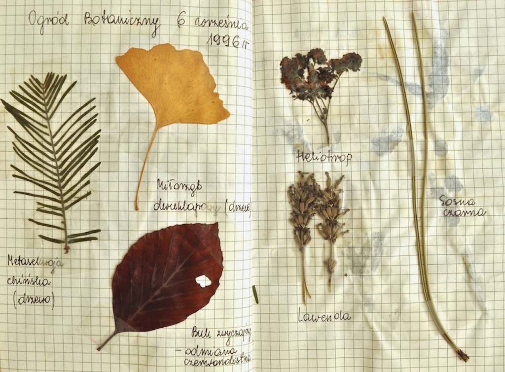 Botaniczne inspiracje