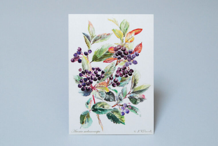 Aronia No2 — druk cyfrowy
