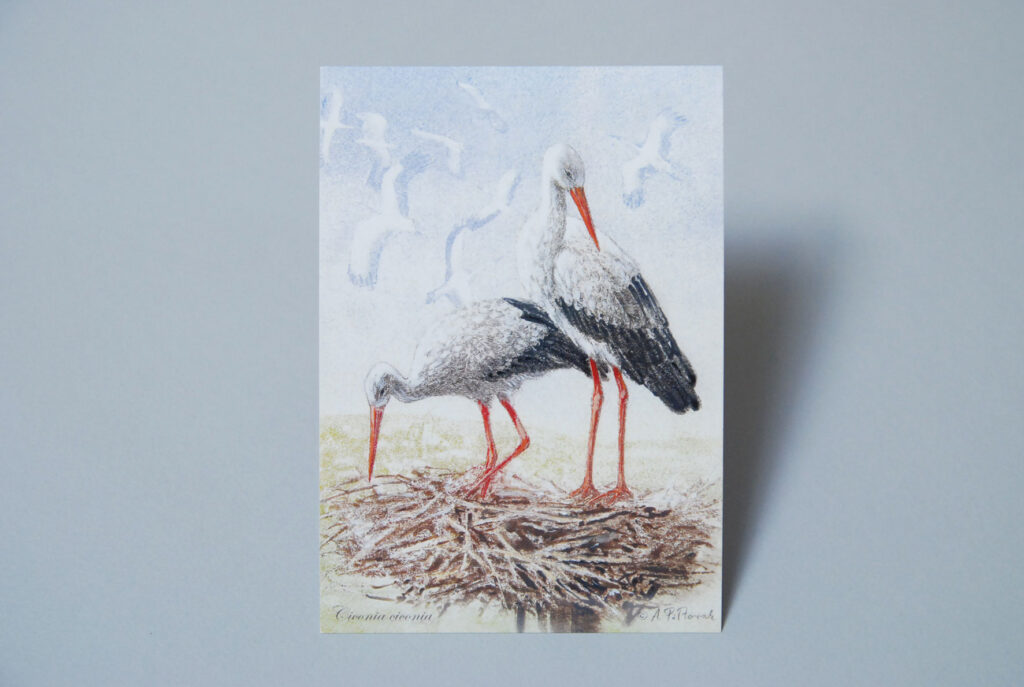 Art Cards - Pocztówki artystyczne