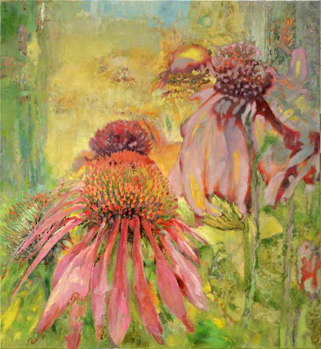 Echinacea — olej na płótnie