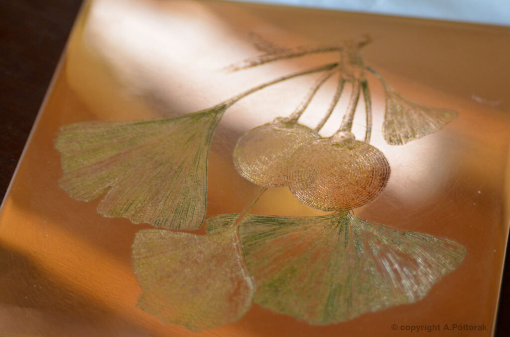 Miedzioryt "Ginkgo"