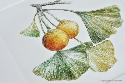 Miedzioryt "Ginkgo"