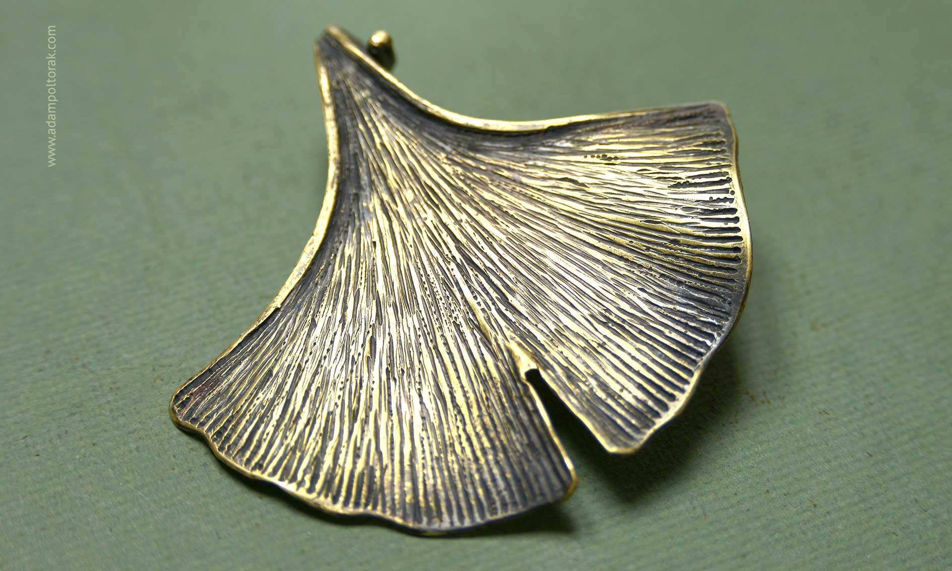 Ginkgo / Miłorząb japoński