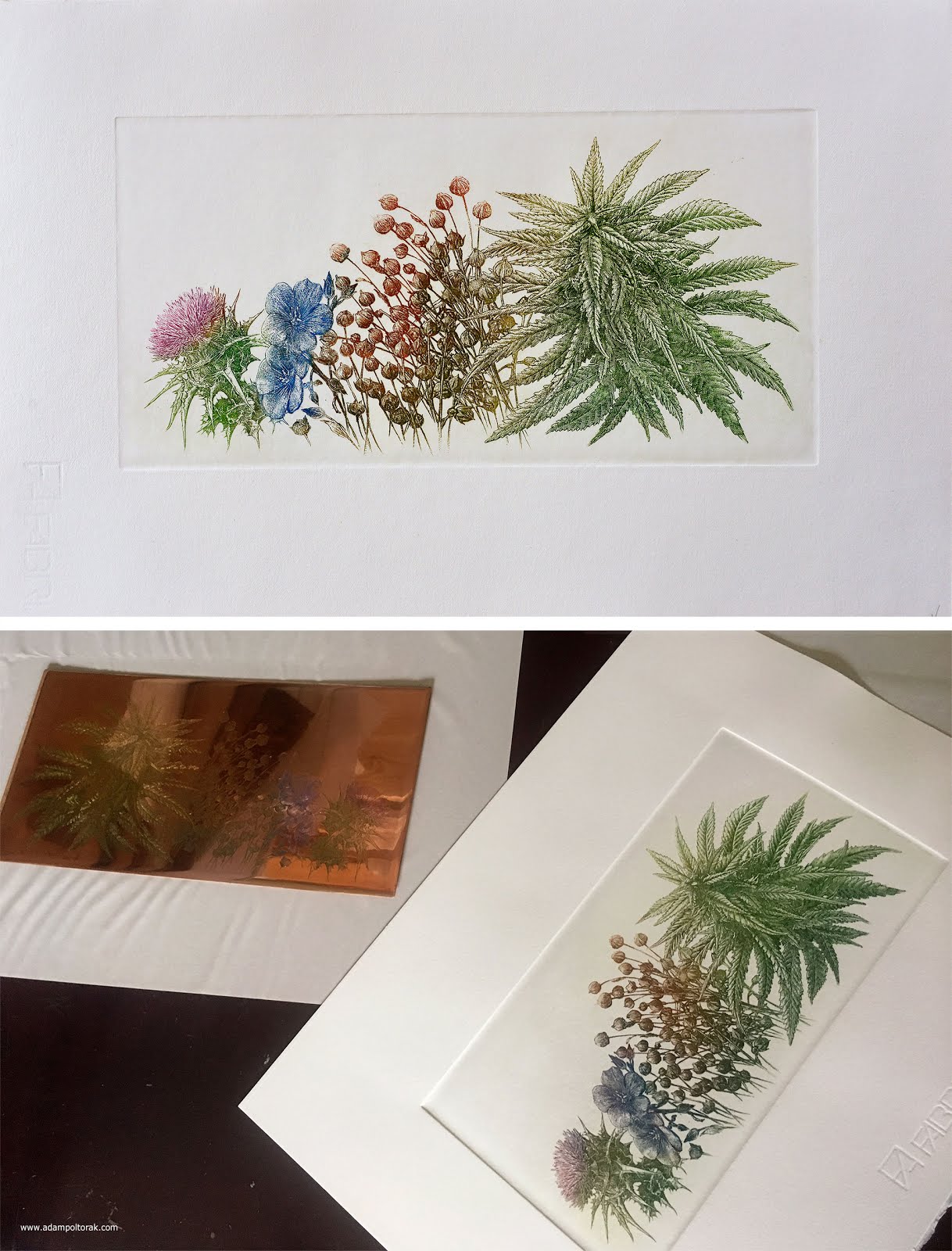Grafika z okazji 90-lecia Instytutu Włókien Naturalnych w Poznaniu