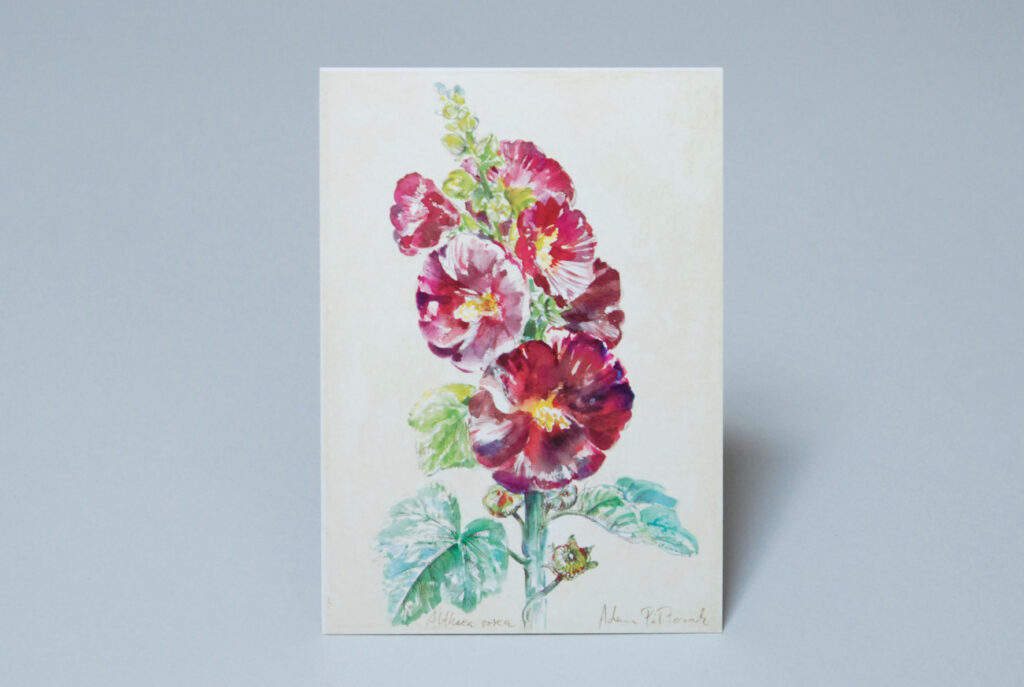 Art Cards - Pocztówki artystyczne