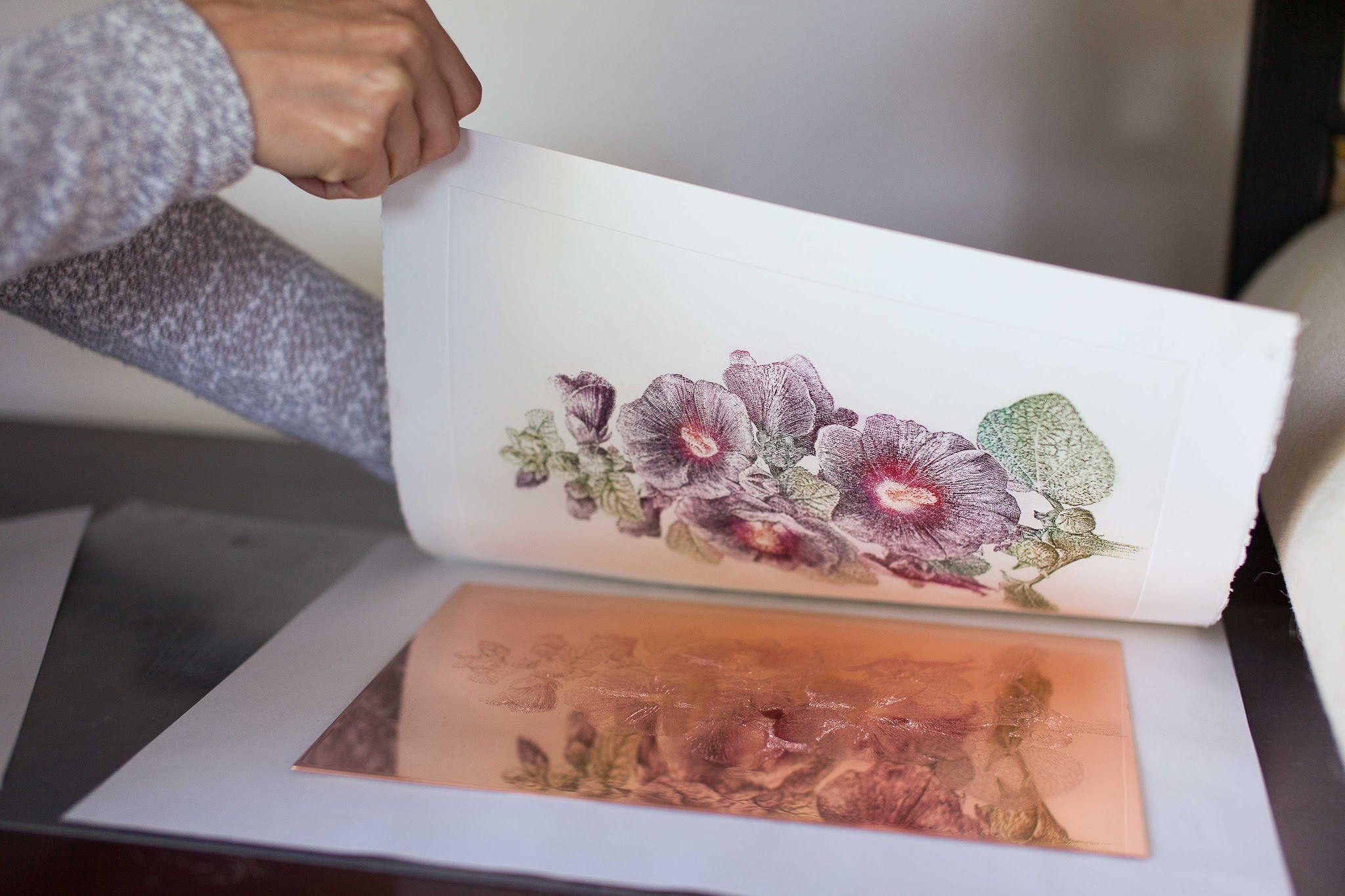 HERBARIUM Adama
