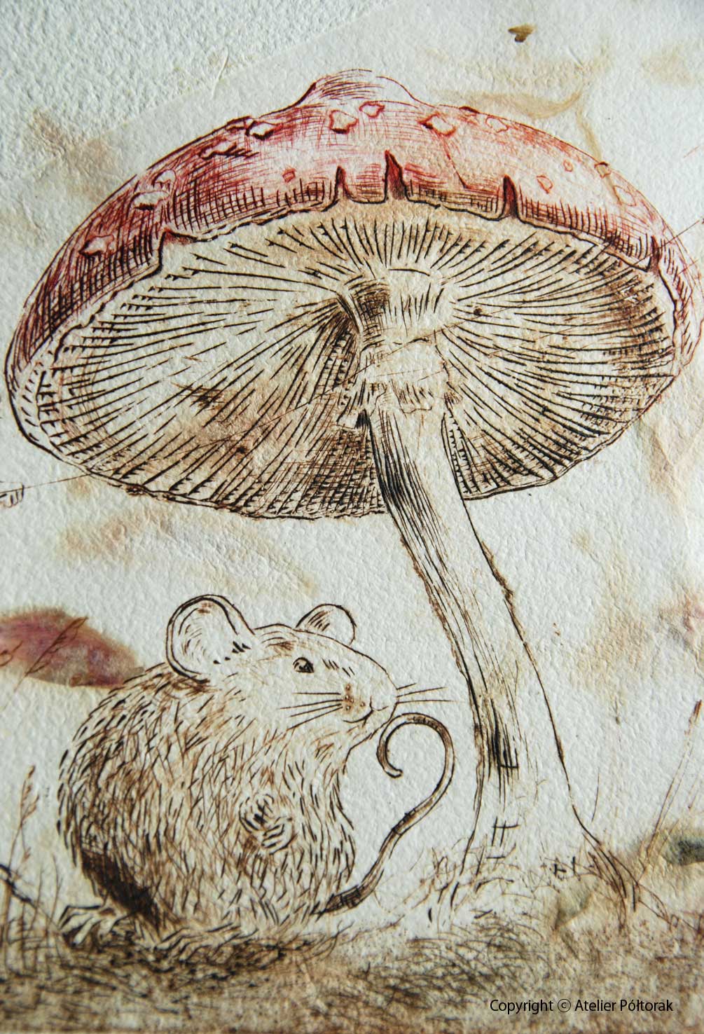 Microcosmos No 3 - drypoint / sucha igła