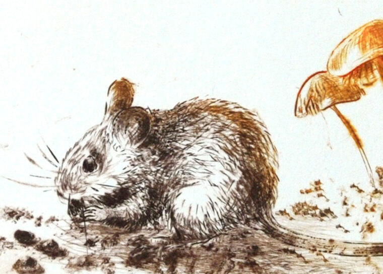 Mysz No 2 — grafika