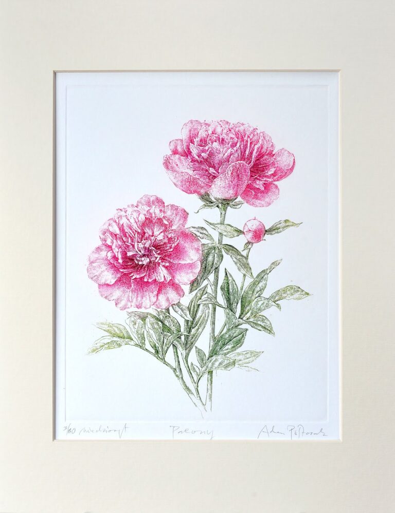 Tym razem inna piwonia / Peony once again
