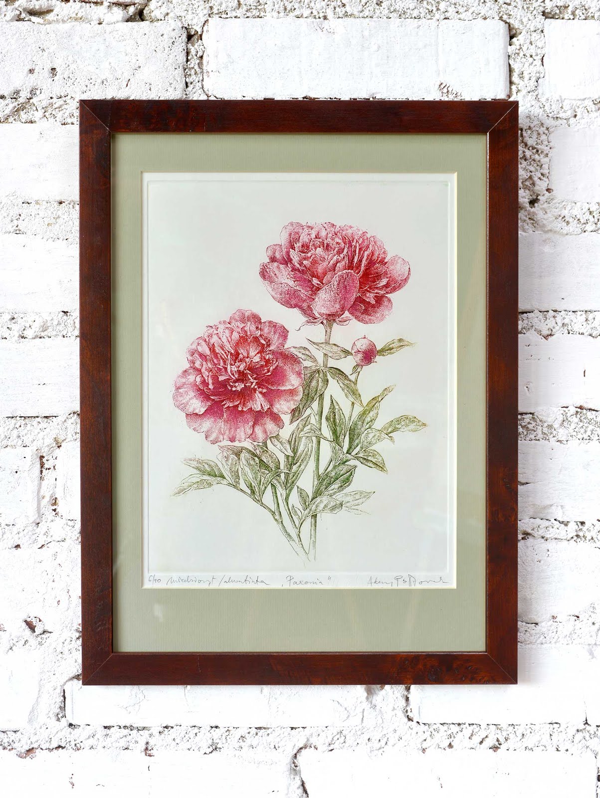 Piwonia oprawiona / Framed peony