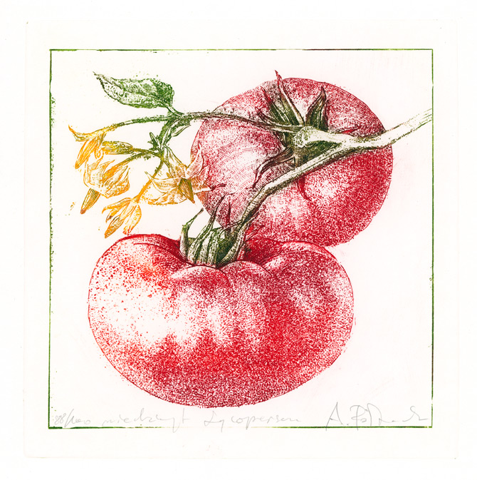 Pomidor — akwaforta, akwatinta, miedzioryt
