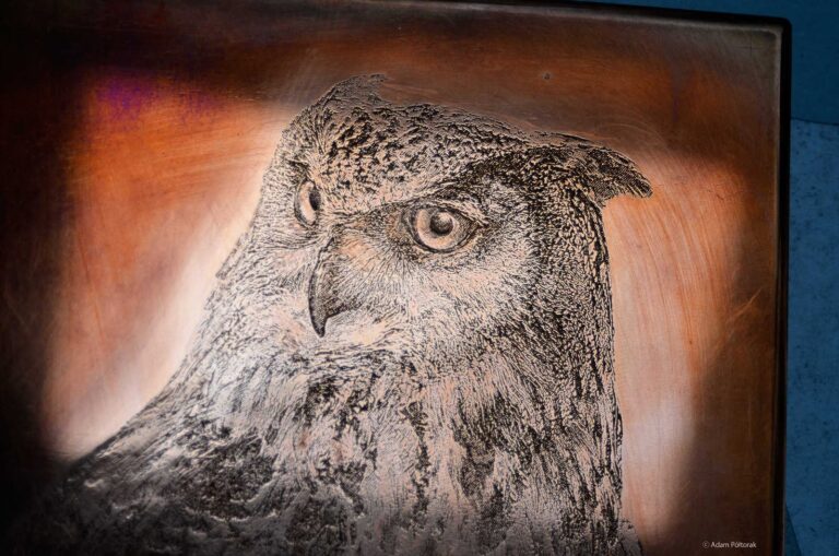 Puchacz / Eagle owl