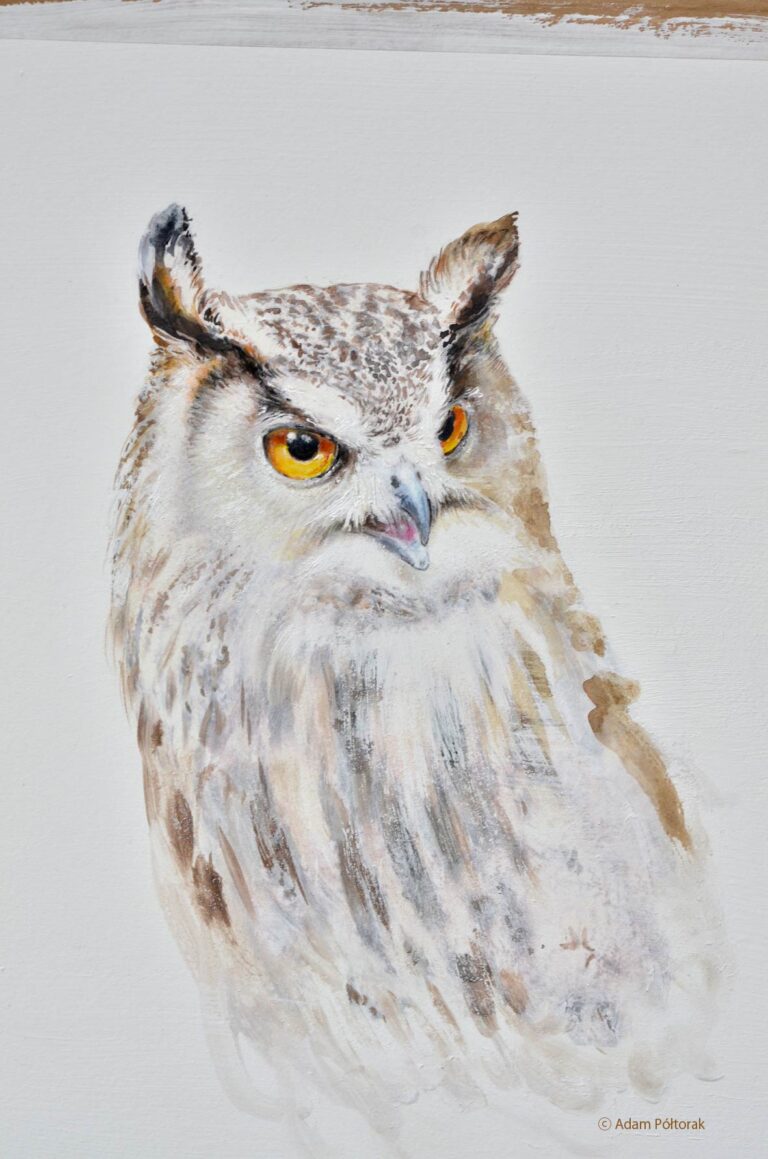 Bubo bubo
