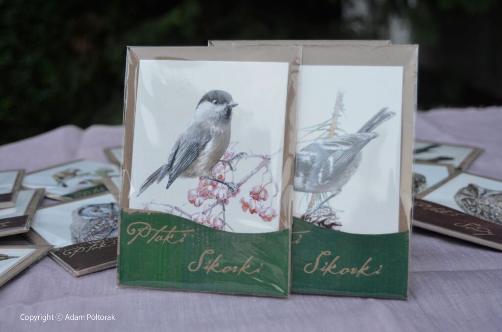 Nowe pocztówki / New artistic postcards