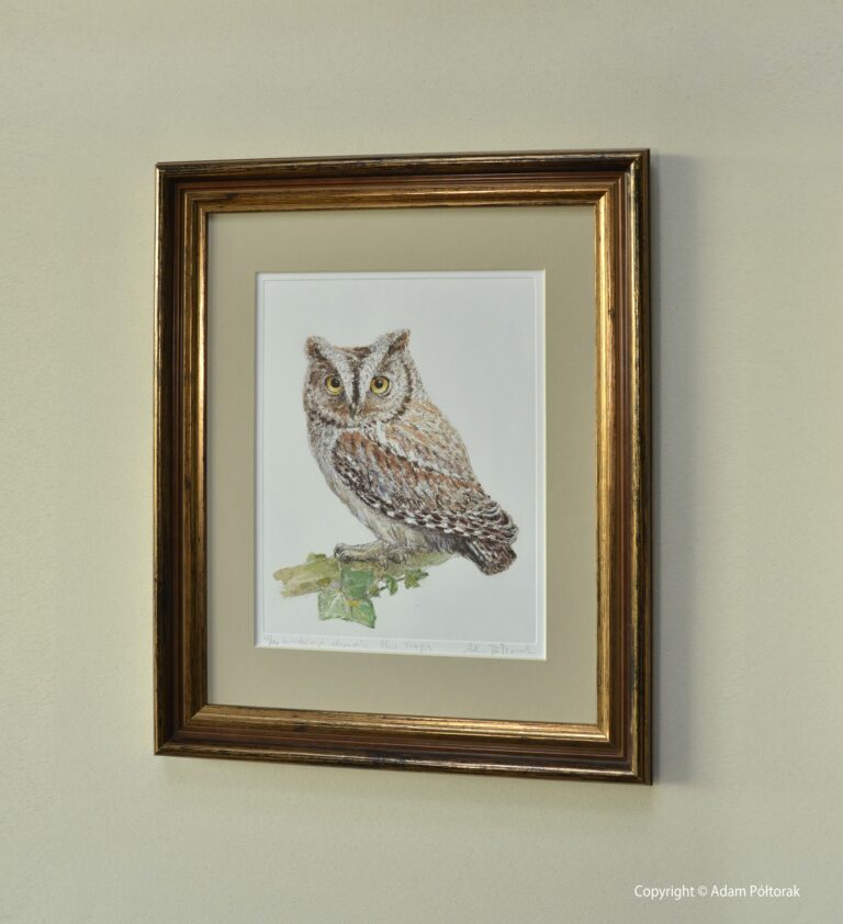 Sowa
